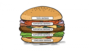 Luyện kỹ năng viết đoạn và phát triển bài luận bằng phương pháp mô hình bánh Hamburger